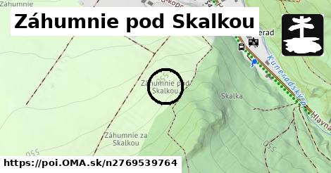 Záhumnie pod Skalkou