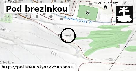 Pod brezinkou