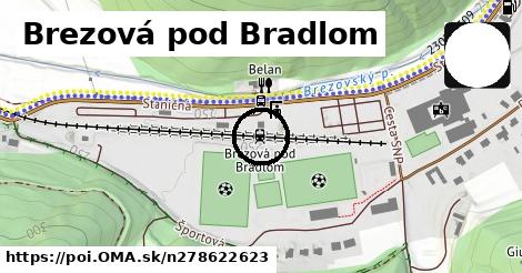 Brezová pod Bradlom