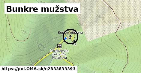 Bunkre mužstva