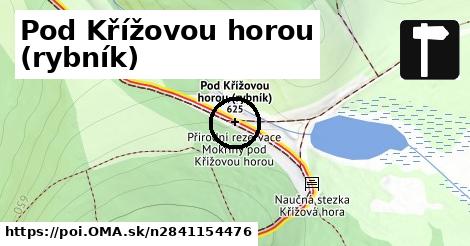 Pod Křížovou horou (rybník)