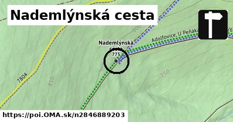 Nademlýnská cesta