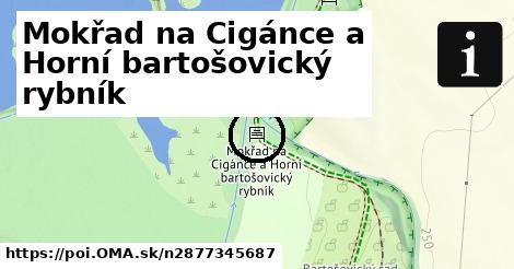 Mokřad na Cigánce a Horní bartošovický rybník