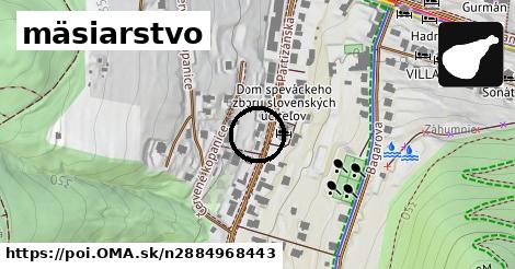 mäsiarstvo