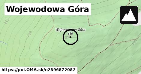 Wojewodowa Góra