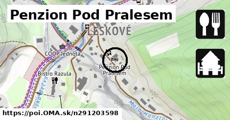 Penzion Pod Pralesem