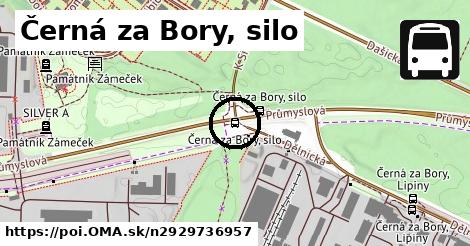 Černá za Bory, silo