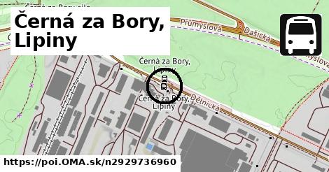 Černá za Bory, Lipiny