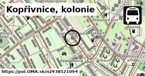 Kopřivnice, kolonie