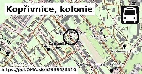 Kopřivnice, kolonie