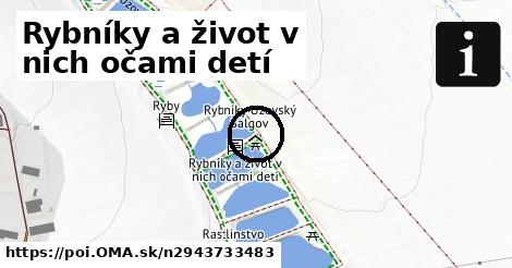 Rybníky a život v nich očami detí