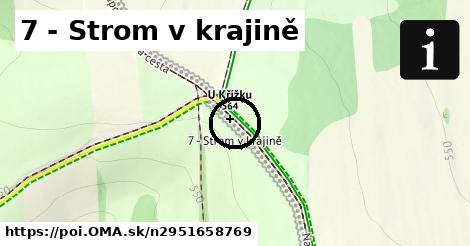 7 - Strom v krajině