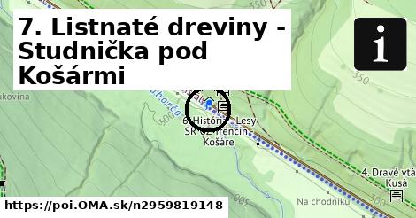 7. Listnaté dreviny - Studnička pod Košármi