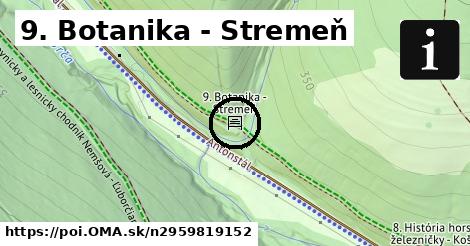 9. Botanika - Stremeň