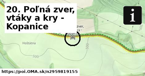 20. Poľná zver, vtáky a kry - Kopanice