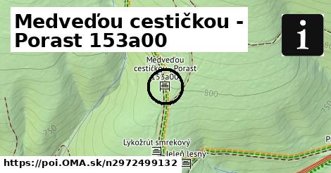 Medveďou cestičkou - Porast 153a00