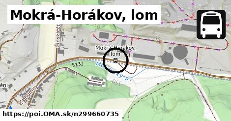 Mokrá-Horákov, lom