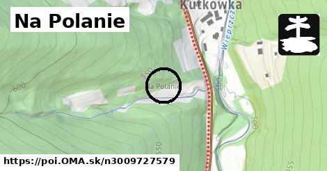 Na Polanie