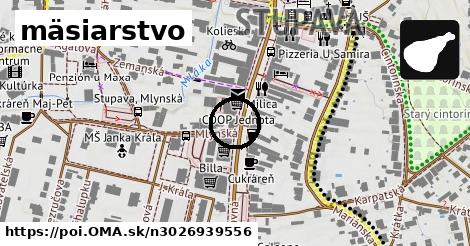 mäsiarstvo