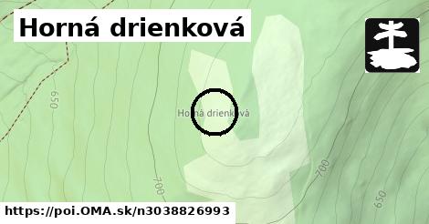 Horná drienková