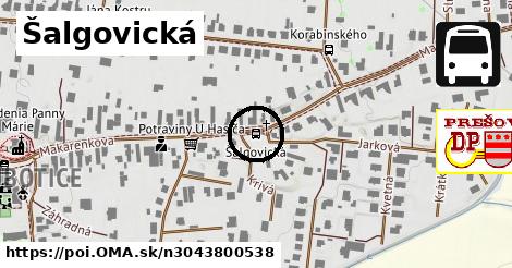 Šalgovická