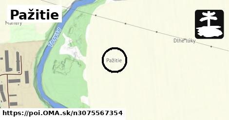 Pažitie