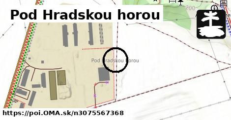 Pod Hradskou horou