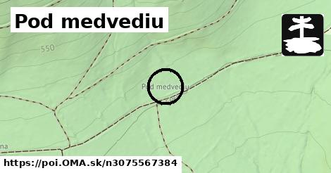 Pod medvediu