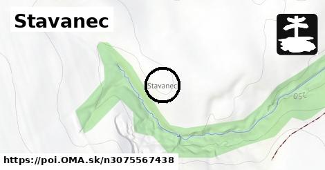 Stavanec