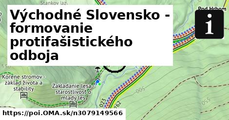 Východné Slovensko - formovanie protifašistického odboja