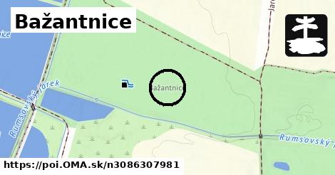 Bažantnice