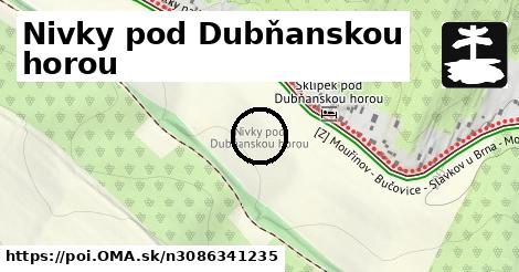 Nivky pod Dubňanskou horou