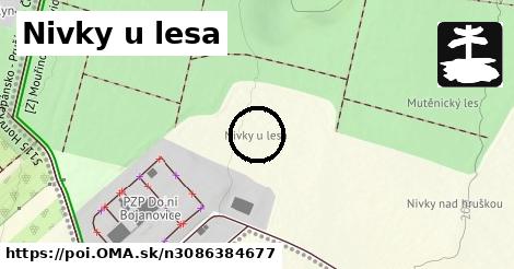 Nivky u lesa