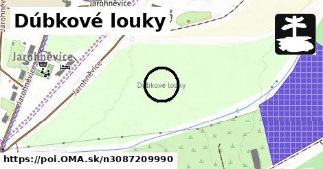 Dúbkové louky