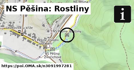 NS Pěšina: Rostliny