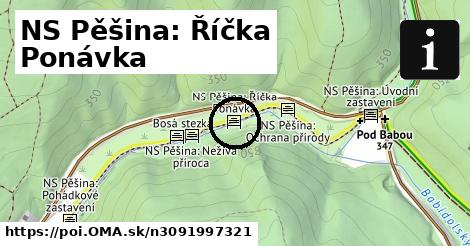 NS Pěšina: Říčka Ponávka