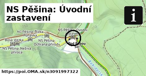 NS Pěšina: Úvodní zastavení