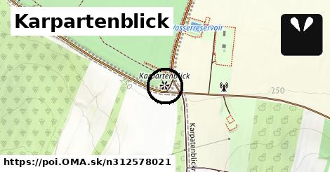 Karpartenblick