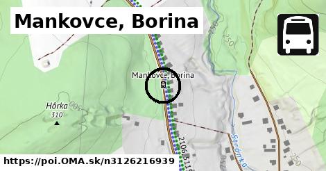 Mankovce, Borina
