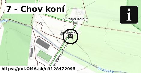 7 - Chov koní