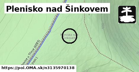 Plenisko nad Šinkovem