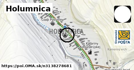 Holumnica