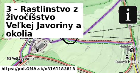 3 - Rastlinstvo z živočíšstvo Veľkej Javoriny a okolia