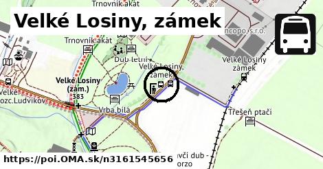 Velké Losiny, zámek