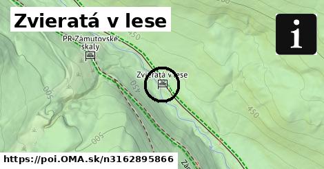 Zvieratá v lese