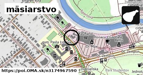 mäsiarstvo