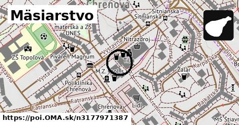 Mäsiarstvo