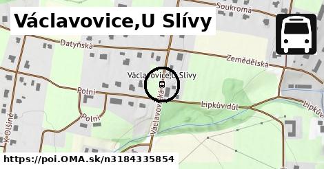 Václavovice,U Slívy