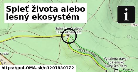 Spleť života alebo lesný ekosystém