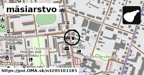 mäsiarstvo